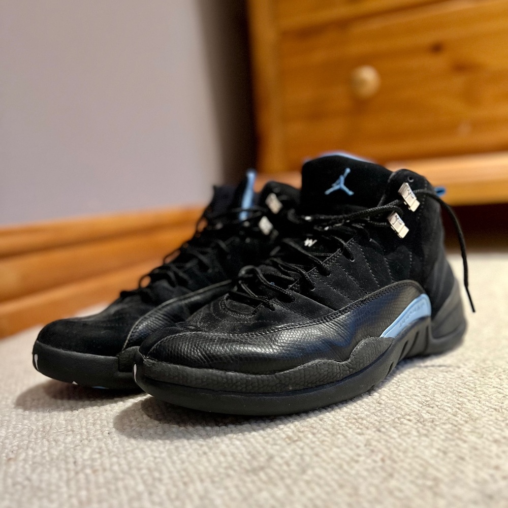 Jordan 12 Retro Nubuck (2009)